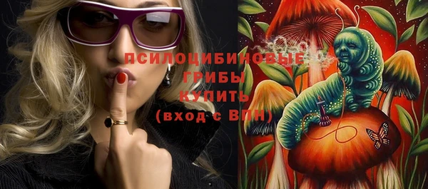 ГАЛЛЮЦИНОГЕННЫЕ ГРИБЫ Костерёво