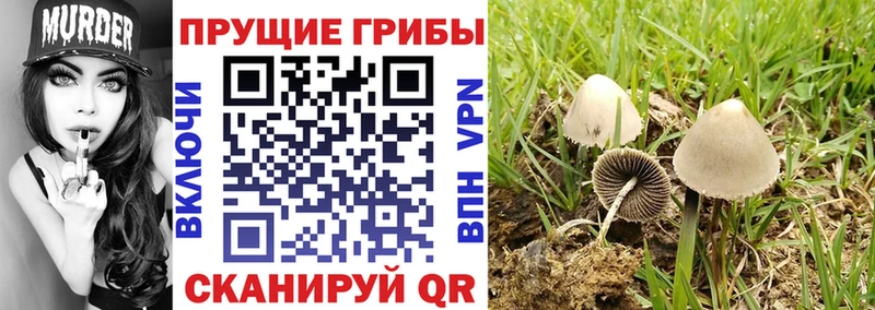 Галлюциногенные грибы мухоморы Инсар